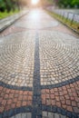 Traditional color stone pavement in perspective after the rain Royalty Free Stock Photo
