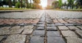 Traditional color stone pavement in perspective after the rain Royalty Free Stock Photo