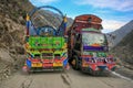 Traditional Colorful decoration truck