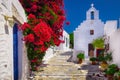 Traditional colorful mediterranean street with flowers and church, Cyclades, Greece Royalty Free Stock Photo