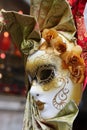 Traditional colorful Venice mask Royalty Free Stock Photo