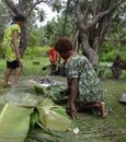 Traditional cooking in Matupit, Rabaul, Papua New Guinea.