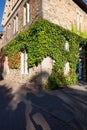 Traditional corner house covered in ivy Royalty Free Stock Photo