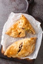 Traditional Cornish pasty filled with beef meat, potato and vegetables closeup on the paper. Vertical top view