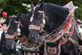 Traditional costume parade in Munich Bavaria