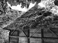 Traditional country house or barn with thatched, dry grassy roof in summer in the forest. The craft of building a roof Royalty Free Stock Photo