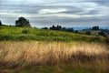 Traditional countryside and landscapes of beautiful Tuscany. Vin