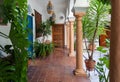 Traditional courtyard of Andalusia. Green plants, columns, historical house in Cordoba, Spain