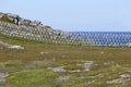 Crosshatch fence at Bonavista, Newfoundland