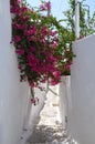 Traditional cycladic architecture in Santorini Island