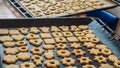 Traditional Czech Christmas homemade linzer cookies on baking tin