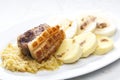 traditional Czech cuisine pork with cabbage and dumplings Royalty Free Stock Photo