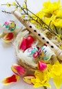Traditional Czech easter decoration - wooden flute music instrument with painted eggs with daffodils and tulips flower in Royalty Free Stock Photo