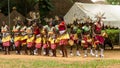 Traditional Dance Group Performs in Kampala, Uganda Royalty Free Stock Photo