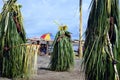 Traditional dance mask festival Papua New Guinea