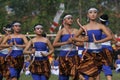 Traditional dance Royalty Free Stock Photo