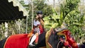 A traditional dancer is riding a giant elephant doll at a traditional Javanese festival