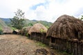 Traditional Dani village in Papua New Guinea, Wamena, Indonesia