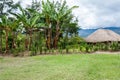 Traditional Dani village in Papua New Guinea, Wamena, Indonesia