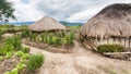 Traditional Dani village in Papua New Guinea, Wamena, Indonesia.