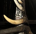 Traditional decor of a Batak house in Sumatra