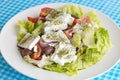 Traditional Delicious Greek foods; fresh greek salad Royalty Free Stock Photo