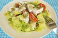 Traditional Delicious Greek foods; fresh greek salad Royalty Free Stock Photo