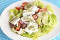 Traditional Delicious Greek foods; fresh greek salad Royalty Free Stock Photo