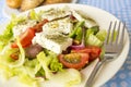 Traditional Delicious Greek foods; fresh greek salad Royalty Free Stock Photo