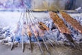 Traditional Delicious Turkish foods; Adana Kebab, Grilled meat Royalty Free Stock Photo