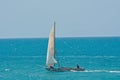 A traditional Dhow sailing in the Indian Ocean, close to the coast of the island of Zanzibar