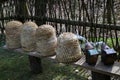 An ancient apiary with traditional straw hives