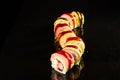 Traditional Dragon roll sushi on black stone. Japanese food