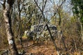 Traditional dry stone shepards hut in a forest at Kras