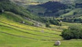 Yorkshire Dales - England Royalty Free Stock Photo