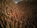 traditional drying process of organic tobacco leaves for later elaboration Royalty Free Stock Photo