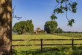 Traditional Dutch farm with trees Royalty Free Stock Photo