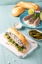 Traditional dutch snack, seafood sandwich with herring