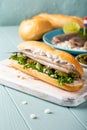 Traditional dutch snack, seafood sandwich with herring