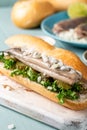 Traditional dutch snack, seafood sandwich with herring Royalty Free Stock Photo
