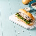 Traditional dutch snack, seafood sandwich with herring Royalty Free Stock Photo