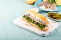 Traditional dutch snack, seafood sandwich with herring Royalty Free Stock Photo