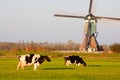 Traditional Dutch windmill