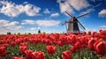 Traditional dutch windmill and colorful stripes of tulips field, Holland