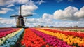 Traditional dutch windmill and colorful stripes of tulips field, Holland