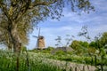 Traditional Dutch windmill in a summer landscape Royalty Free Stock Photo