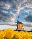 Traditional Dutch windmill with tulips in Zaanse Schans, Amsterdam area, Holland Royalty Free Stock Photo