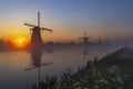 Traditional Dutch windmills with a colourful sky just before sunrise in Kinderdijk, The Netherlands Royalty Free Stock Photo