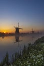 Traditional Dutch windmills with a colourful sky just before sunrise in Kinderdijk, The Netherlands Royalty Free Stock Photo