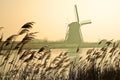 Traditional Dutch windmills at dawn Royalty Free Stock Photo